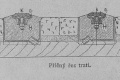 Příčný řez tratí. | 1905