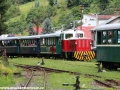 Motorová lokomotiva TU45.001 přiváží do Čierneho Balogu vlak z Chvatimechu. | 18.7.2012