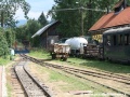Odstavené vozy a lokomotivy na nádraží v Čiernem Balogu | 8.8.2007