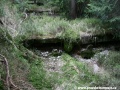 Zarůstající přepadová kaskáda u západního konce přehrady. | 8.5.2011