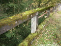 Betonová konstrukce mostu postupně zarůstá vegetací... | 24.10.2008