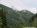 Z lesů se začíná odpařovat vlhkost. | 6.8.2010