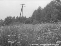 Úzké koleje Heřmaničky zarůstají trávou a jen telegrafní sloupy vedené podél kolejí určují, kudy vlastně Heřmanička vedla | 25.7.1987