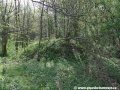 Železniční těleso s náspem bylo v těchto místech odbagrováno a tak tady končí na pár set metrů stopa po Heřmaničce... | 5.5.2011
