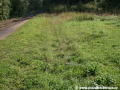 Odpojená druhá staniční kolej v Dolním Polubném zarůstá travou včetně ponechaných stoliček na upevnění Abtovy ozubnice. | 11.9.2011