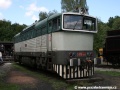 Motorová lokomotiva T478 3101 zvaná Brejlovec | 9.8.2008
