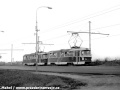 Souprava vozů T3 ev.č.6875+6707 vypravená na linku 22 uhání podél Bělohorské ulice, která se takřka skrývá v polích, od Vypichu na Malý Břevnov. | 18.5.1974