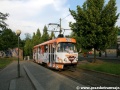 Kofola tramvaj tvořená vozem T3SUCS ev.č.7040 v zastávce Královský letohrádek | 7.6.2007